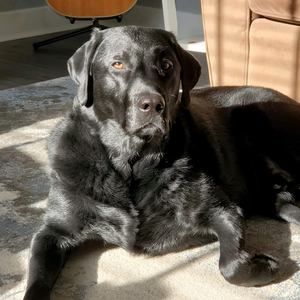 Meet your Posher, Debbie